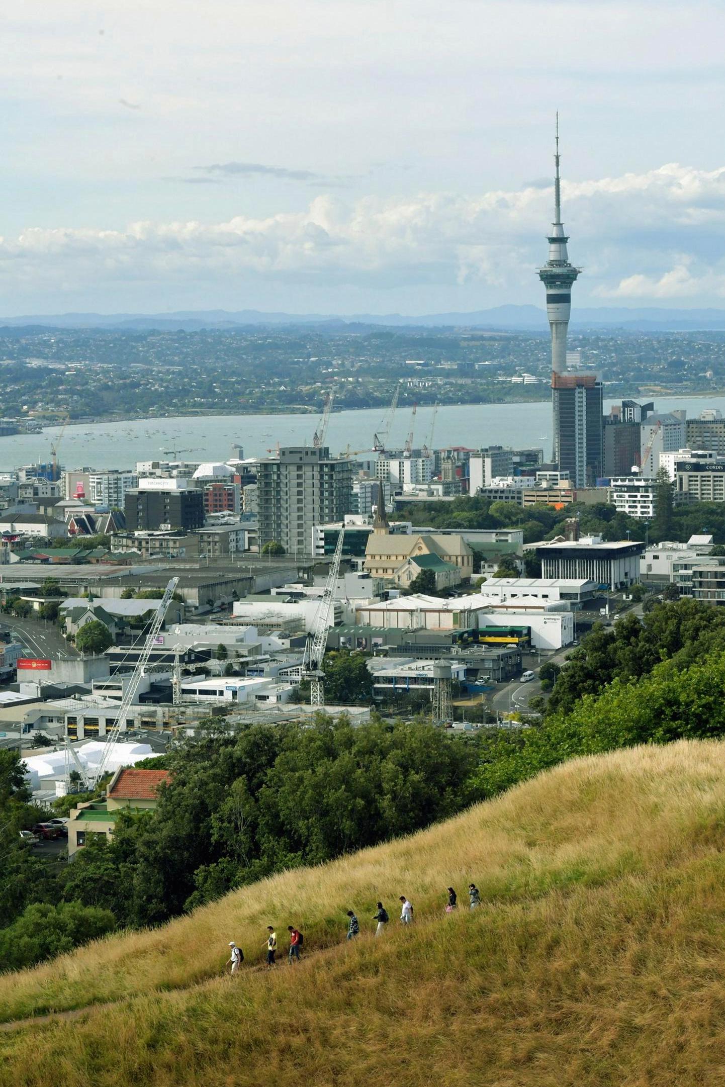 Mount Eden Summit