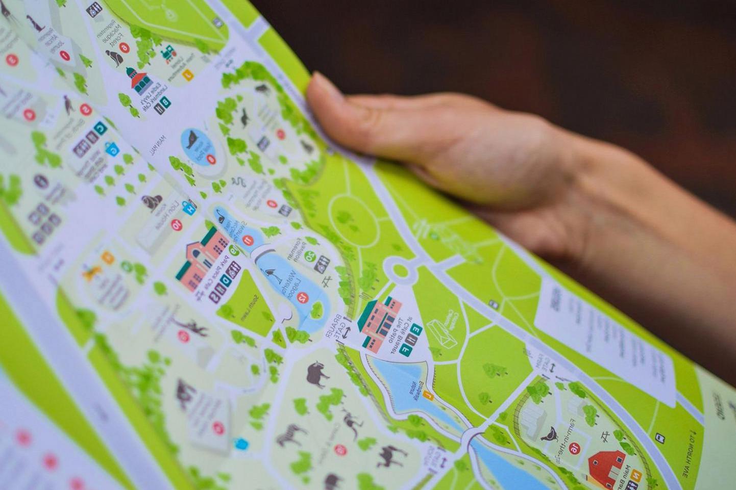 Simplified Auckland City Map Illustration